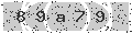 verify code