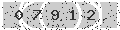 verify code
